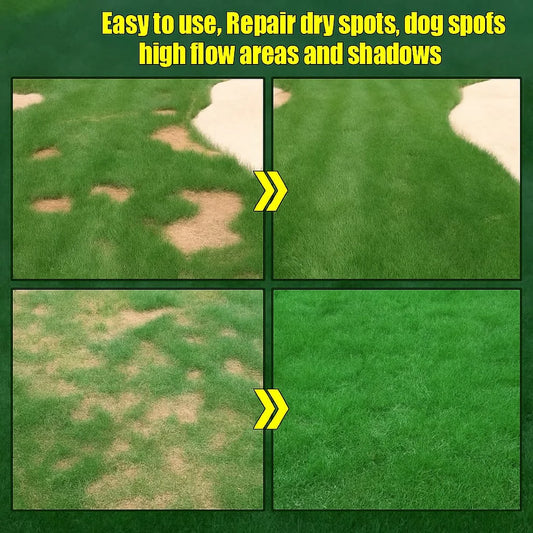 Grass Seeds Hybrid Best For Your Beautiful Home Gardening (Pack Of 100 seeds)